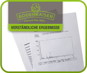 Bodentest Benzin Ergebnisse