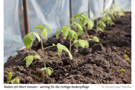 Den Boden pH-Wert messen - hier schnell und einfach ...